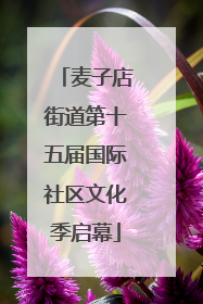 麦子店街道第十五届国际社区文化季启幕