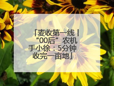 麦收第一线丨“00后”农机手小徐：5分钟收完一亩地