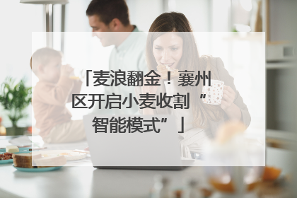 麦浪翻金！襄州区开启小麦收割“智能模式”