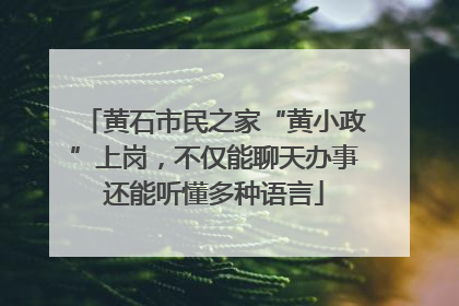 黄石市民之家“黄小政”上岗，不仅能聊天办事还能听懂多种语言