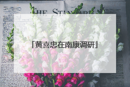 黄喜忠在南康调研