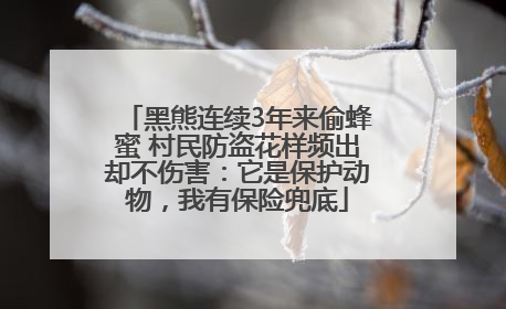 黑熊连续3年来偷蜂蜜 村民防盗花样频出却不伤害：它是保护动物，我有保险兜底