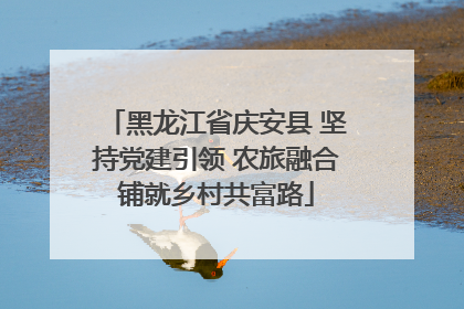 黑龙江省庆安县 坚持党建引领 农旅融合铺就乡村共富路