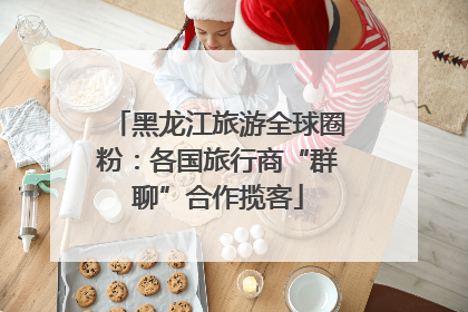 黑龙江旅游全球圈粉：各国旅行商“群聊”合作揽客