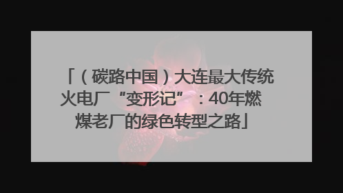 （碳路中国）大连最大传统火电厂“变形记”：40年燃煤老厂的绿色转型之路