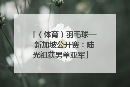 （体育）羽毛球——新加坡公开赛：陆光祖获男单亚军