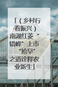 （乡村行·看振兴）南湖红菱“错峰”上市 “抢早”之道诠释农业新生