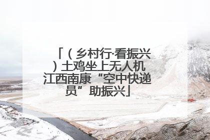 （乡村行·看振兴）土鸡坐上无人机 江西南康“空中快递员”助振兴