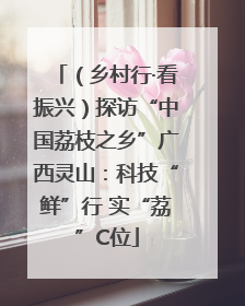 （乡村行·看振兴）探访“中国荔枝之乡”广西灵山：科技“鲜”行 实“荔”C位