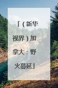 （新华视界）加拿大：野火蔓延