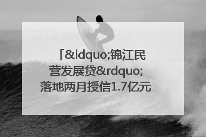 “锦江民营发展贷”落地两月授信1.7亿元，惠及118家民企