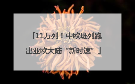11万列！中欧班列跑出亚欧大陆“新时速”