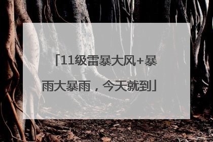 11级雷暴大风+暴雨大暴雨，今天就到