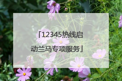 12345热线启动兰马专项服务