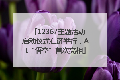 12367主题活动启动仪式在济举行，AI“悟空”首次亮相