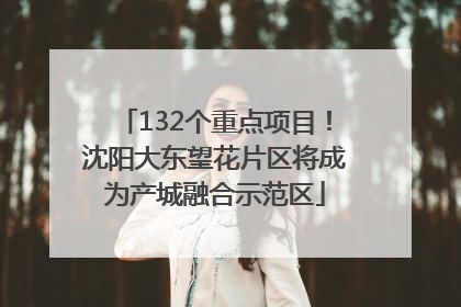 132个重点项目！沈阳大东望花片区将成为产城融合示范区