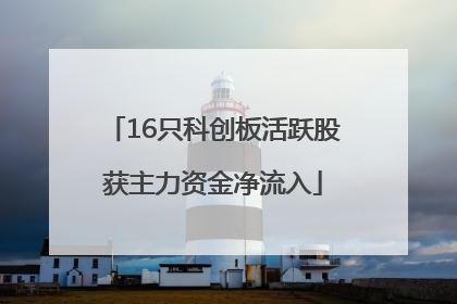 16只科创板活跃股获主力资金净流入