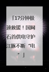 17分钟极速救援！国网石首供电守护江豚不断“电”