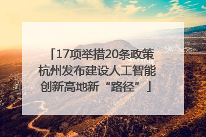 17项举措20条政策 杭州发布建设人工智能创新高地新“路径”