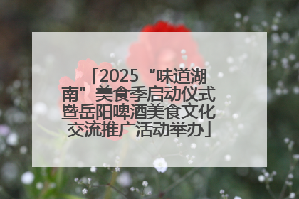 2025“味道湖南”美食季启动仪式暨岳阳啤酒美食文化交流推广活动举办