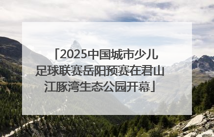 2025中国城市少儿足球联赛岳阳预赛在君山江豚湾生态公园开幕