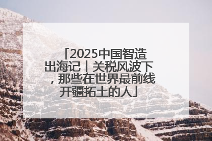 2025中国智造出海记丨关税风波下，那些在世界最前线开疆拓土的人