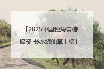 2025中国独角兽榜揭晓 书亦烧仙草上榜