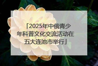 2025年中俄青少年科普文化交流活动在五大连池市举行