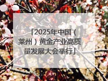 2025年中国（莱州）黄金产业高质量发展大会举行