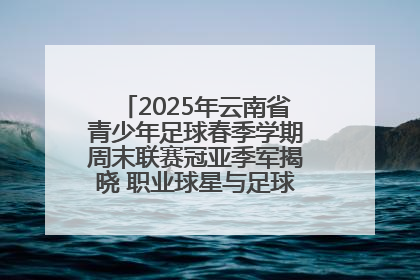 2025年云南省青少年足球春季学期周末联赛冠亚季军揭晓 职业球星与足球小将共享荣耀时刻