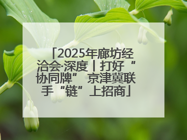 2025年廊坊经洽会·深度丨打好“协同牌” 京津冀联手“链”上招商