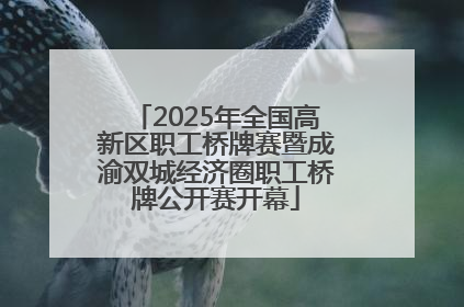 2025年全国高新区职工桥牌赛暨成渝双城经济圈职工桥牌公开赛开幕