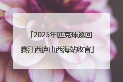 2025年匹克球巡回赛江西庐山西海站收官