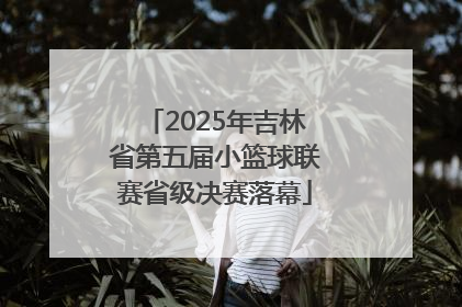 2025年吉林省第五届小篮球联赛省级决赛落幕