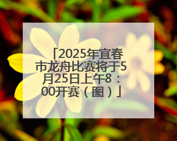 2025年宜春市龙舟比赛将于5月25日上午8：00开赛（图）