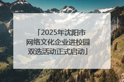 2025年沈阳市网络文化企业进校园双选活动正式启动