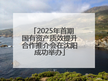 2025年首期国有资产质效提升合作推介会在沈阳成功举办