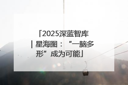 2025深蓝智库｜星海图：“一脑多形”成为可能