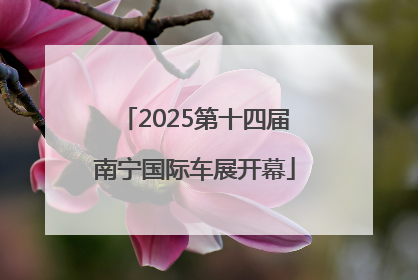 2025第十四届南宁国际车展开幕