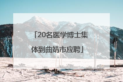 20名医学博士集体到曲靖市应聘