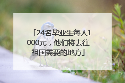24名毕业生每人1000元，他们将去往祖国需要的地方