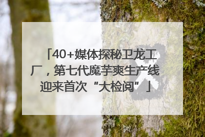 40+媒体探秘卫龙工厂，第七代魔芋爽生产线迎来首次“大检阅”