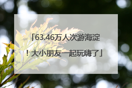 63.46万人次游海淀！大小朋友一起玩嗨了