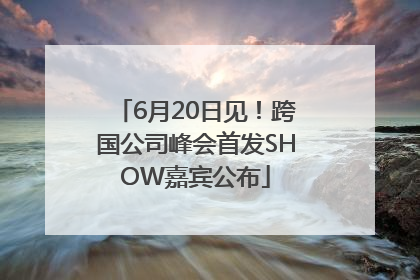 6月20日见！跨国公司峰会首发SHOW嘉宾公布