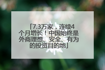 7.3万家，连续4个月增长！中国始终是外商理想、安全、有为的投资目的地