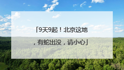 9天9起！北京这地，有蛇出没，请小心