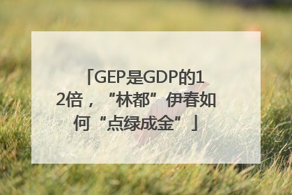 GEP是GDP的12倍，“林都”伊春如何“点绿成金”