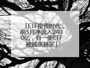 ETF投资时代，前5月净流入2400亿，有一类ETF被越涨越买