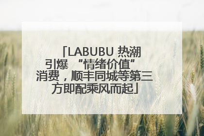 LABUBU 热潮引爆 “情绪价值” 消费，顺丰同城等第三方即配乘风而起