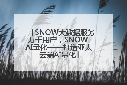 SNOW大数据服务万千用户，SNOW AI量化——打造亚太云端AI量化